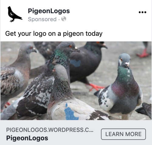 PigeonLogos Ad 1.png